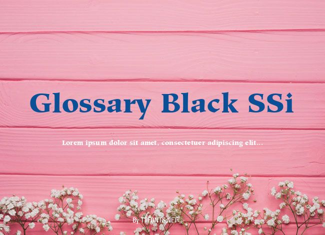 Glossary Black SSi example